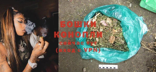 PSILOCYBIN Бронницы
