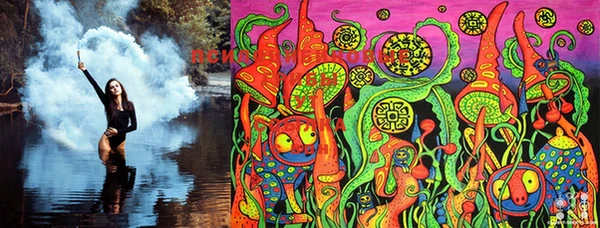 PSILOCYBIN Бронницы