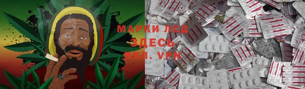 PSILOCYBIN Бронницы