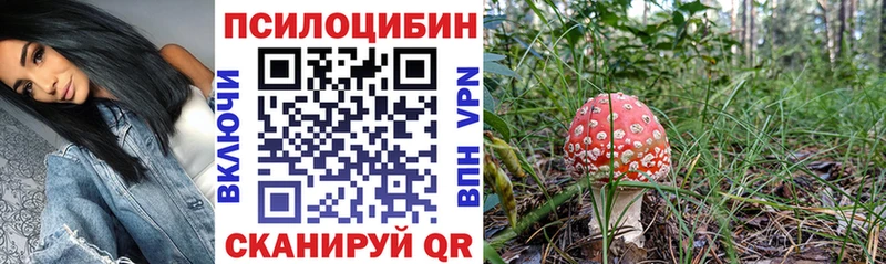 Псилоцибиновые грибы MAGIC MUSHROOMS  KRAKEN ONION  Заволжье  купить  сайты 